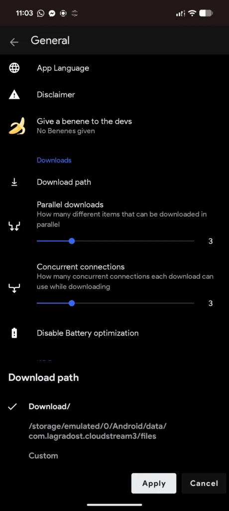 download custom path